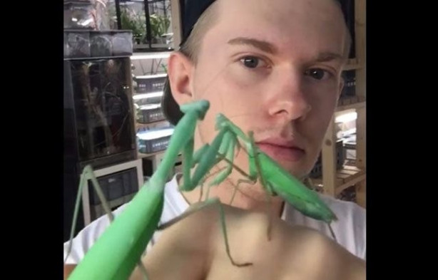 Foto - Sıra dışı adam! Canlı böcekleri yüzünde sergiliyor! 