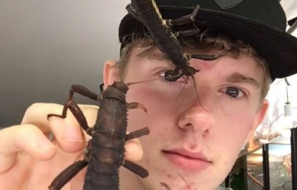 Foto - Sıra dışı adam! Canlı böcekleri yüzünde sergiliyor! 