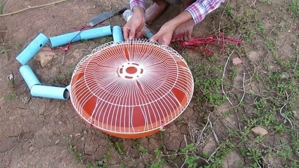 Foto - Sıra dışı bir balık avlama taktiği daha!