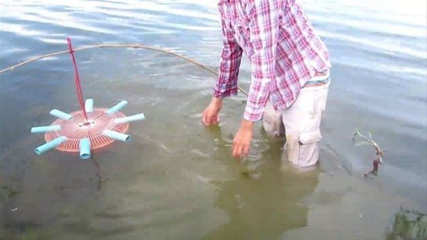 Foto - Sıra dışı bir balık avlama taktiği daha!
