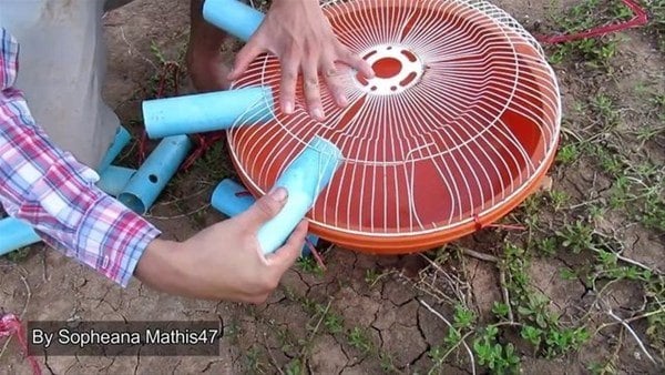 Foto - Sıra dışı bir balık avlama taktiği daha!