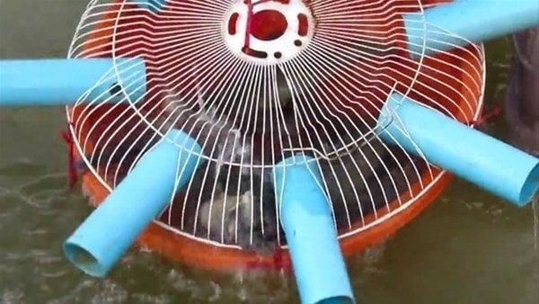 Foto - Sıra dışı bir balık avlama taktiği daha!