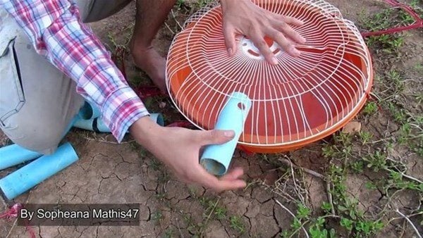 Foto - Sıra dışı bir balık avlama taktiği daha!