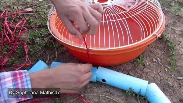 Foto - Sıra dışı bir balık avlama taktiği daha!