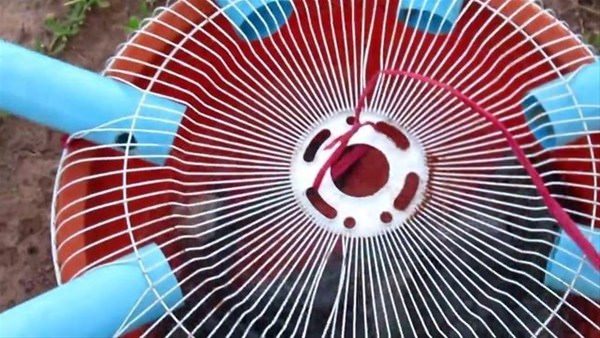 Foto - Sıra dışı bir balık avlama taktiği daha!