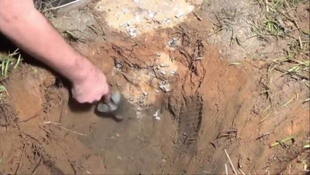 Foto - Sıra dışı bir deneye imza attılar!