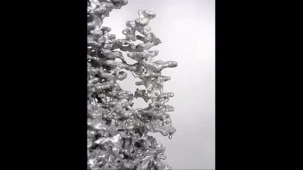 Foto - Sıra dışı bir deneye imza attılar!