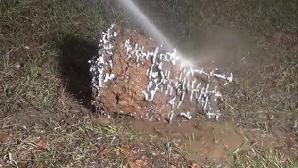 Foto - Sıra dışı bir deneye imza attılar!