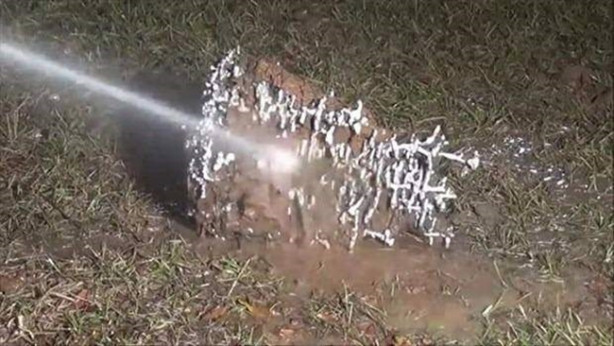 Foto - Sıra dışı bir deneye imza attılar!