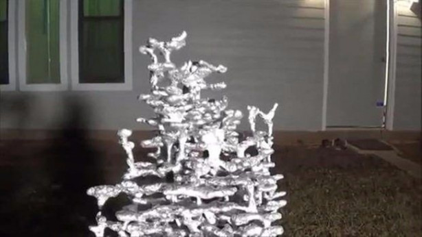 Foto - Sıra dışı bir deneye imza attılar!