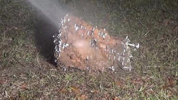 Foto - Sıra dışı bir deneye imza attılar!