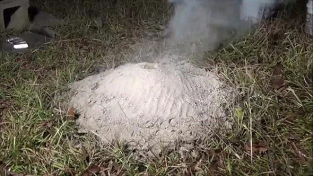 Foto - Sıra dışı bir deneye imza attılar!