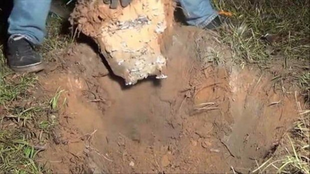 Foto - Sıra dışı bir deneye imza attılar!