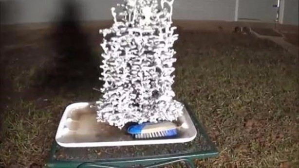 Foto - Sıra dışı bir deneye imza attılar!