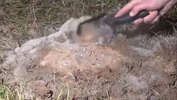 Foto - Sıra dışı bir deneye imza attılar!