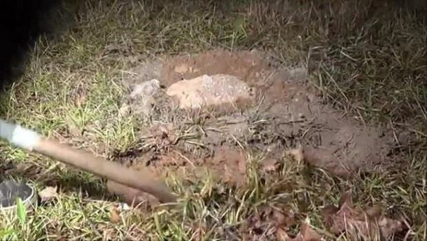 Foto - Sıra dışı bir deneye imza attılar!