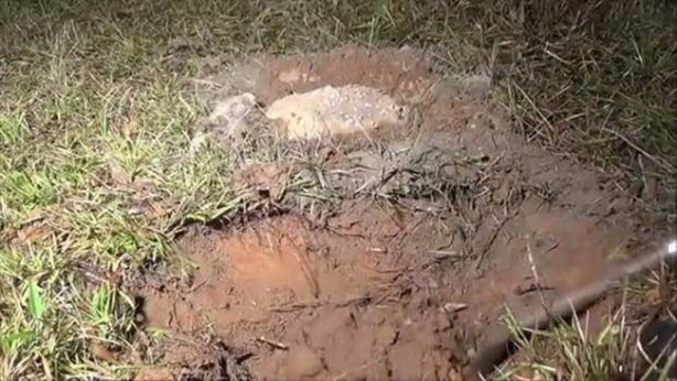 Foto - Sıra dışı bir deneye imza attılar!