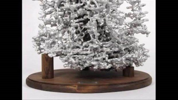 Foto - Sıra dışı bir deneye imza attılar!