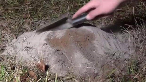 Foto - Sıra dışı bir deneye imza attılar!