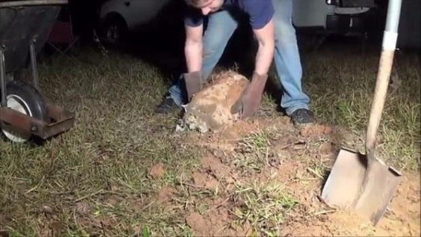 Foto - Sıra dışı bir deneye imza attılar!