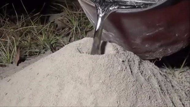 Foto - Sıra dışı bir deneye imza attılar!