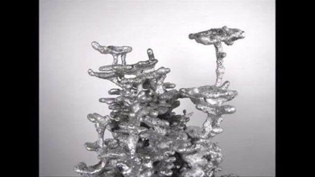 Foto - Sıra dışı bir deneye imza attılar!