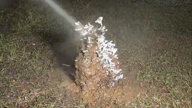 Foto - Sıra dışı bir deneye imza attılar!