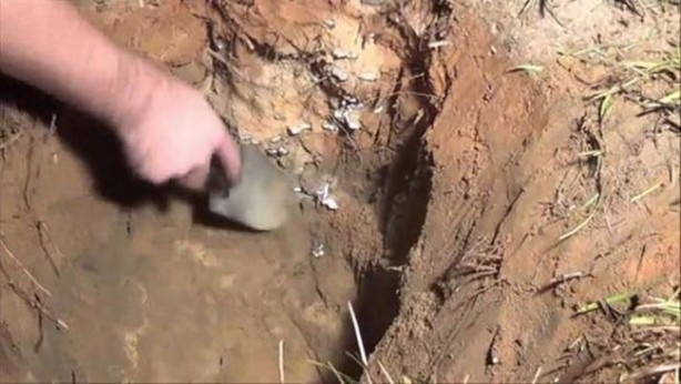 Foto - Sıra dışı bir deneye imza attılar!