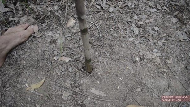 Foto - Sıra dışı bir kulübe yaptı, bakın nasıl!