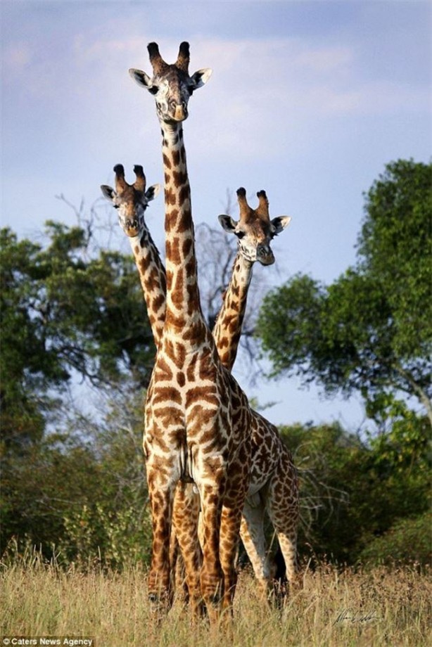 Foto - Sıra dışı fotoğraflar