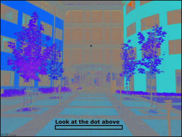 Foto - Sıra dışı görsel yanılsamalar