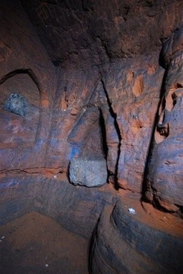 Foto - Sıradan bir barınak gibi gözüküyor fakat...