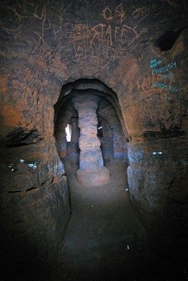 Foto - Sıradan bir barınak gibi gözüküyor fakat...