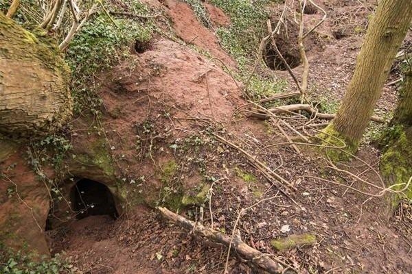  Sıradan bir barınak gibi gözüküyor fakat...