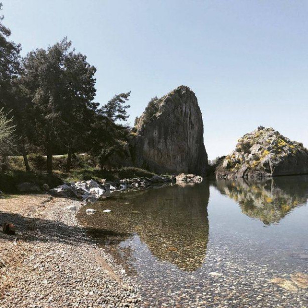 Foto - Sıradan bir kaya gibi duruyor ama... 