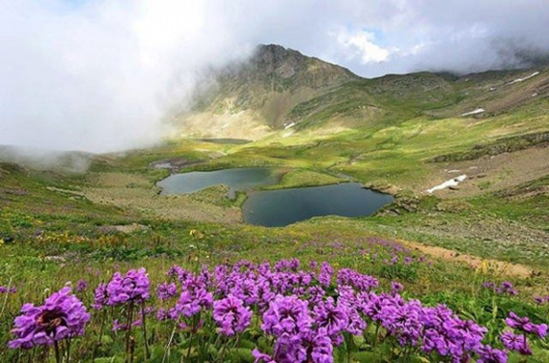 Foto - Sıradan bir kaya gibi duruyor ama... 