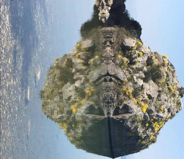 Foto - Sıradan bir kaya gibi duruyor ama... 