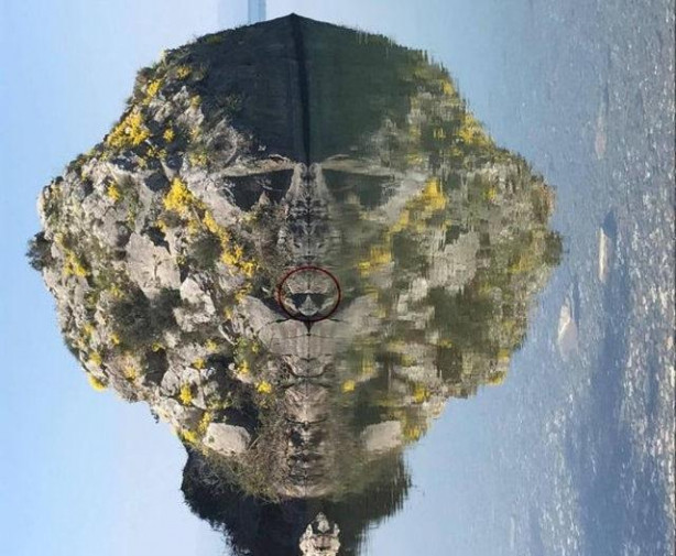 Foto - Sıradan bir kaya gibi duruyor ama... 