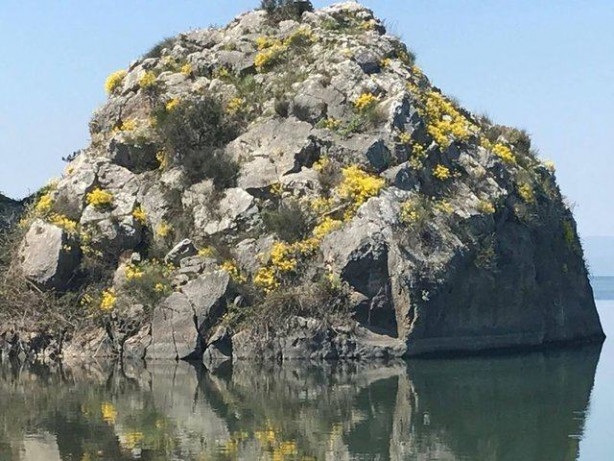  Sıradan bir kaya gibi duruyor ama... 