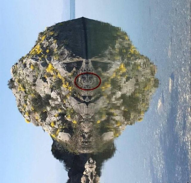 Foto - Sıradan bir kaya gibi duruyor ama... 