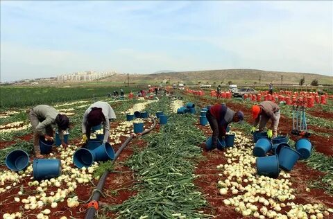 Foto - Sıraya girdiler! Erdoğan’ın müjdesi kuyruk oluşturdu