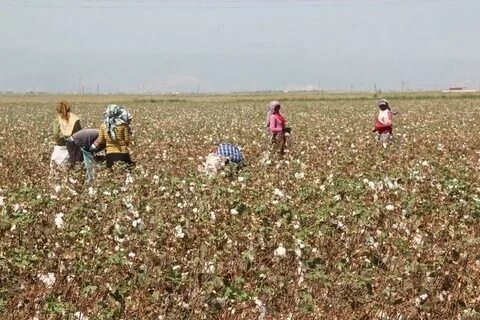 Foto - Sıraya girdiler! Erdoğan’ın müjdesi kuyruk oluşturdu
