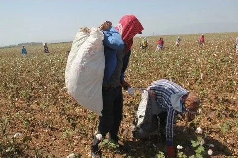 Foto - Sıraya girdiler! Erdoğan’ın müjdesi kuyruk oluşturdu