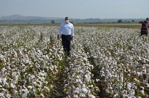 Foto - Sıraya girdiler! Erdoğan’ın müjdesi kuyruk oluşturdu