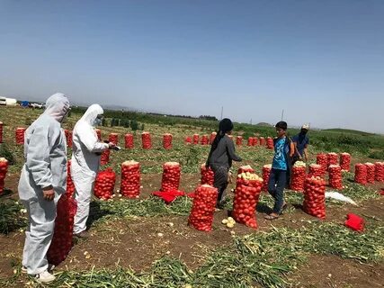 Foto - Sıraya girdiler! Erdoğan’ın müjdesi kuyruk oluşturdu