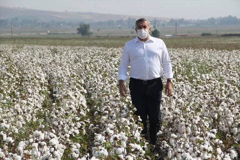Foto - Sıraya girdiler! Erdoğan’ın müjdesi kuyruk oluşturdu
