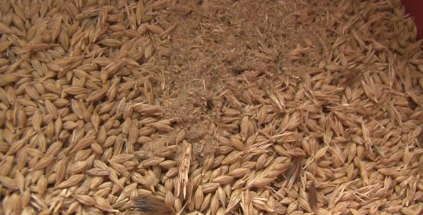 Foto - Sıraya girdiler! Erdoğan’ın müjdesi sonrası kuyruk var