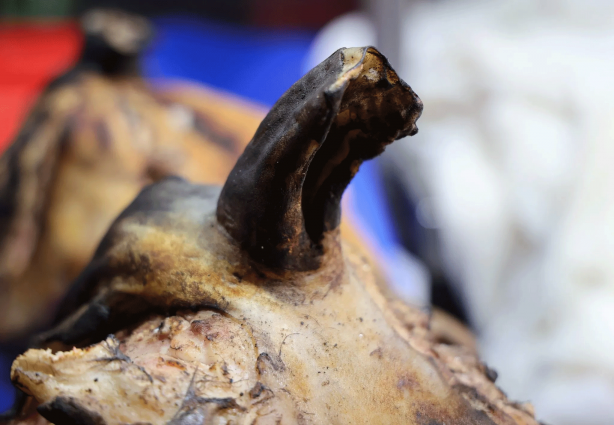 Foto - Şırdan devri bitti! Adanalıların yeni gözdesi belli oldu