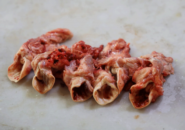 Foto - Şırdan devri bitti! Adanalıların yeni gözdesi belli oldu