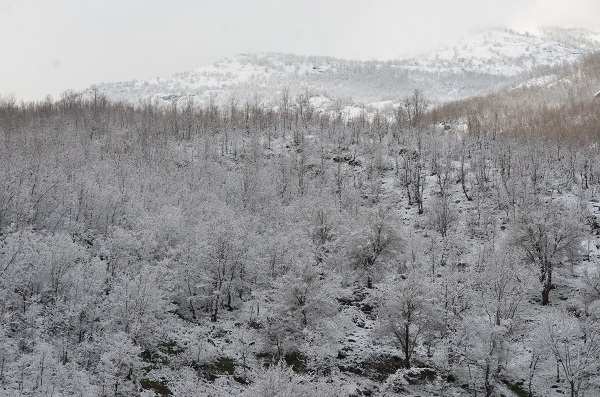 Foto - Şırnak, nisan ayında kara teslim